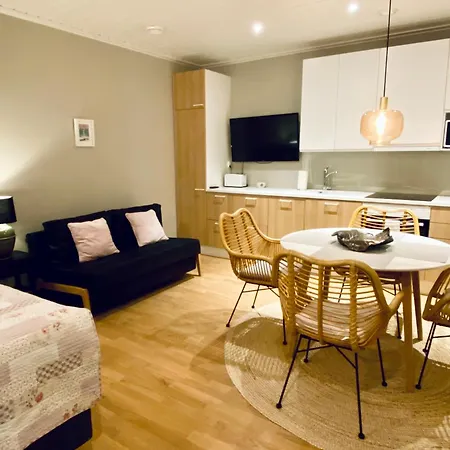Upseeritalo Apartment Seinajoki