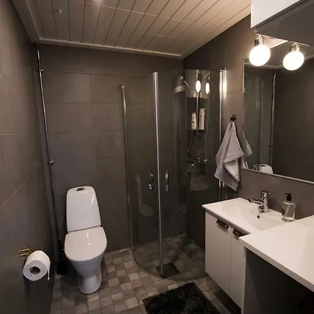Upseeritalo Apartment Seinajoki